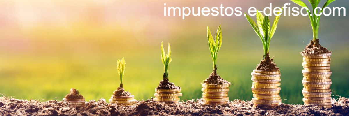 impuestos.e-defisc.com impuestos.e-defisc.com